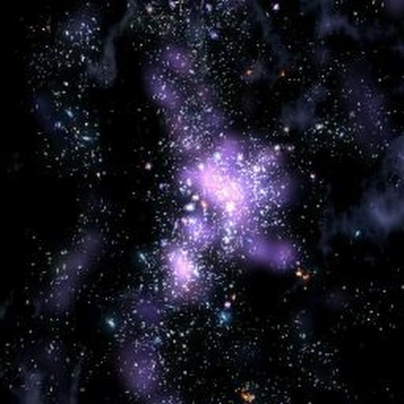 Meet your Posher, Brett - Picture 1 of 1